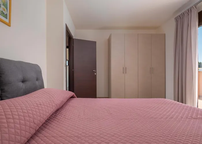 Orange Tree Sani (Chalkidiki)