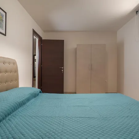 Orange Tree * Száni-part